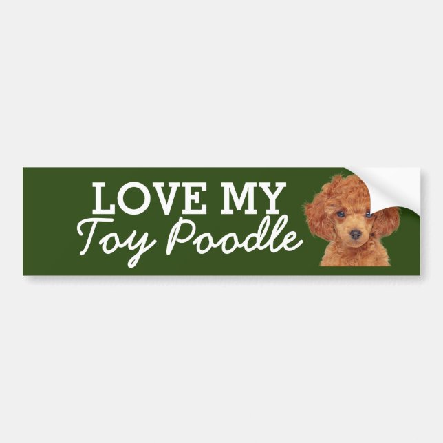 Pegatina Para Coche Toy Poodle bumper sticker (Frente)