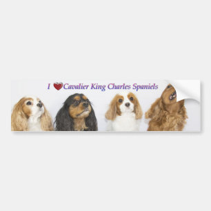 Pegatina Para Coche Tres colores del rey Cavalier Charles Spaniels