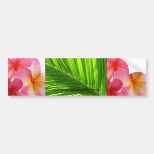 Pegatina Para Coche Tropical