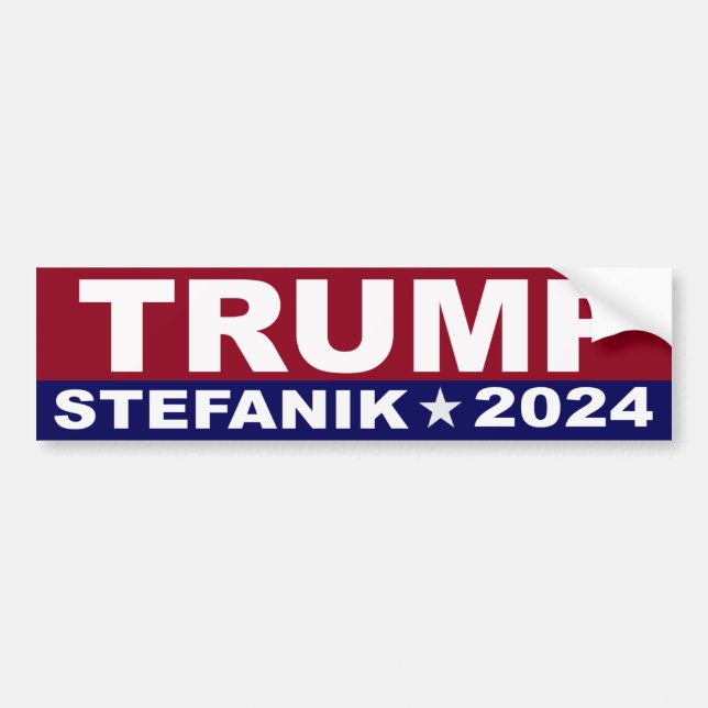 Pegatina Para Coche Trump Elise Stefanik 2024 (Frente)