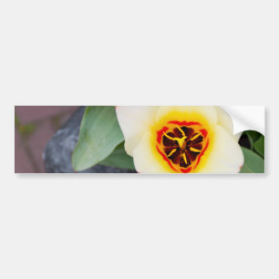 Pegatina Para Coche Tulipán