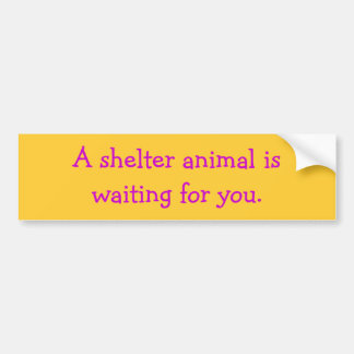 Pegatina Para Coche Un animal del refugio iswaiting para usted