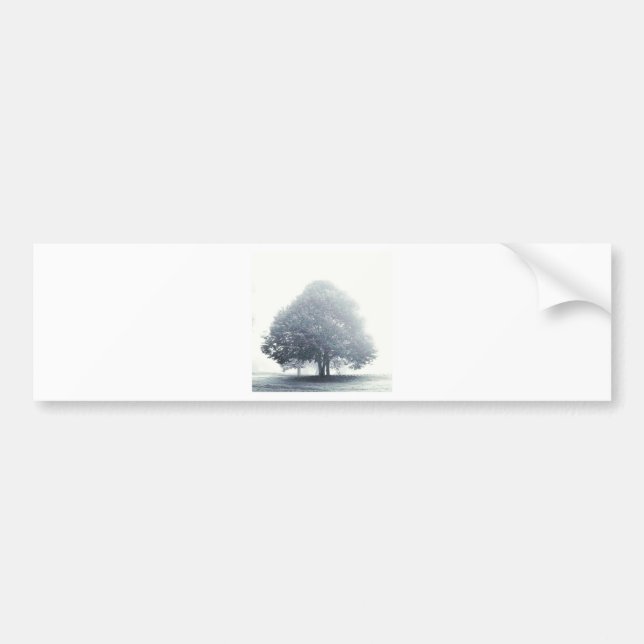 Pegatina Para Coche Un árbol en la niebla (Frente)