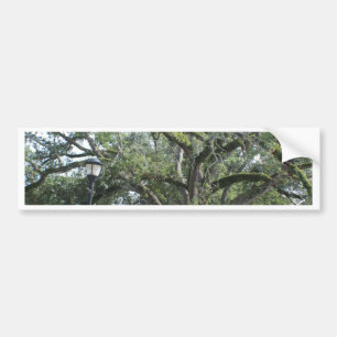 Pegatina Para Coche Un paseo por el parque