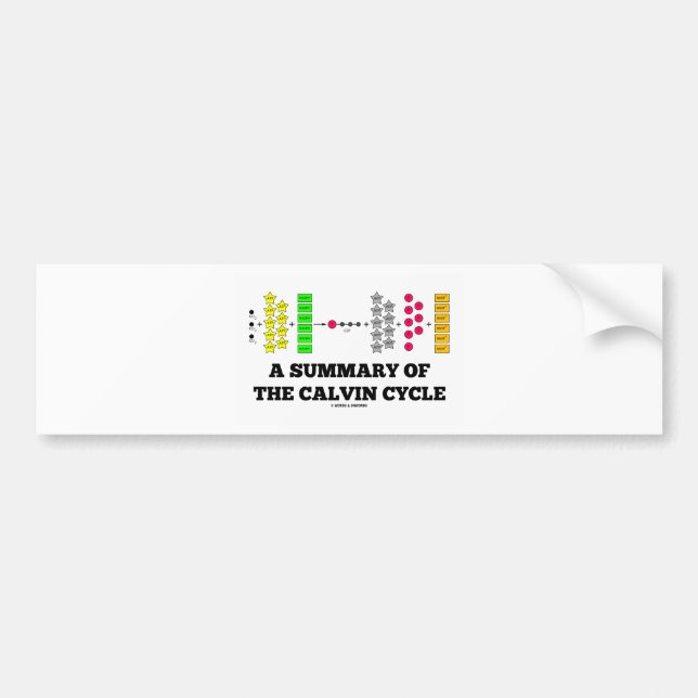 Pegatina Para Coche Un resumen del ciclo de Calvin (fotosíntesis) (Frente)