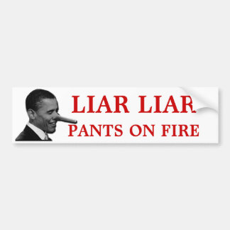 Pegatina Para Coche Usted MIENTE