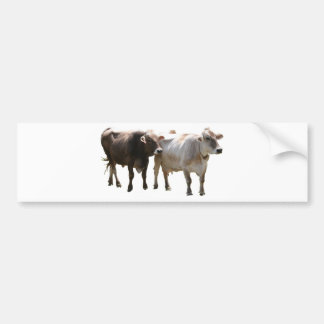 Pegatina Para Coche Vacas del suizo de Brown