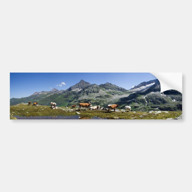 Pegatina Para Coche Vacas En Las Montañas (Frente)
