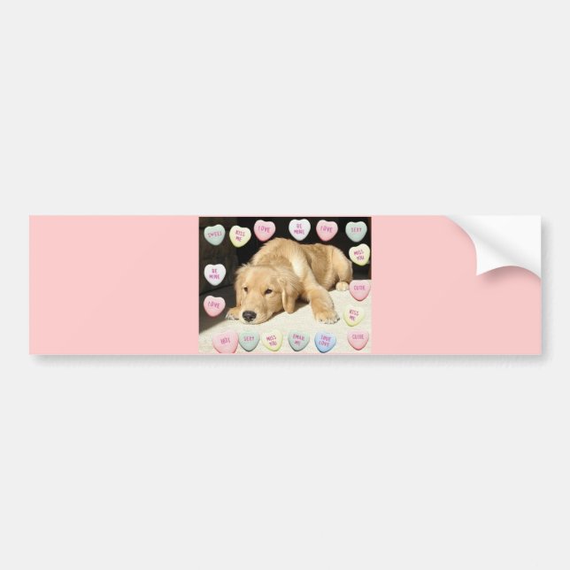 Pegatina Para Coche Valentine Golden Retriever Puppy (Frente)