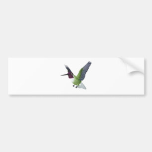 Pegatina Para Coche Varón del colibrí de Ana