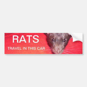 Pegatina Para Coche viaje de las ratas
