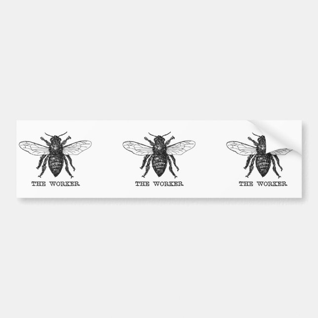 Pegatina Para Coche Vintage Worker Bee Illustration (Frente)
