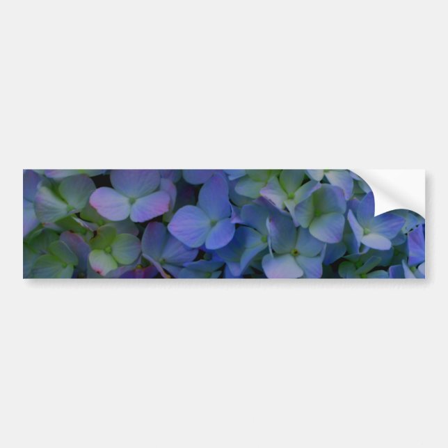 Pegatina Para Coche Violet purple pink blue hydrangeas flower floral (Frente)