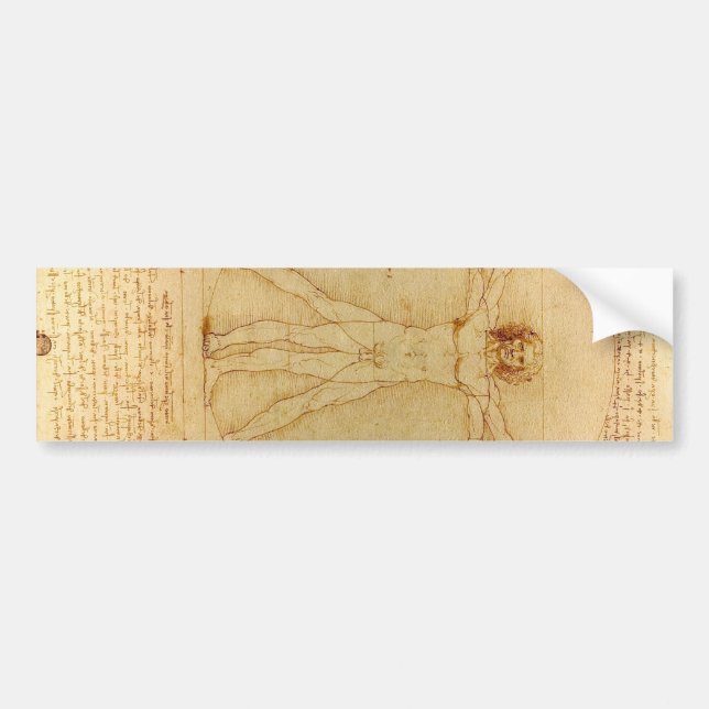 Pegatina Para Coche Vitruista de Leonardo Da Vinci (Frente)
