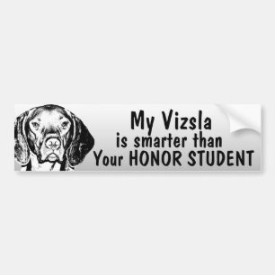 Pegatina Para Coche Vizsla es más elegante que el estudiante del honor