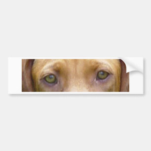 Pegatina Para Coche vizsla eyes.png