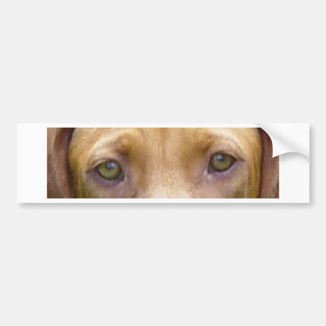 Pegatina Para Coche vizsla eyes.png (Frente)