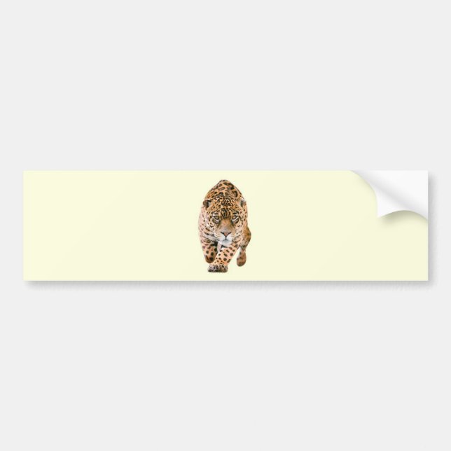 Pegatina Para Coche Walking Jaguar Eyes (Frente)