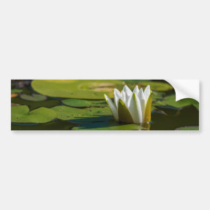 Pegatina Para Coche Water Lily Blossom