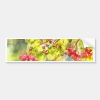 Pegatina Para Coche Watercolor de las Berries de invierno