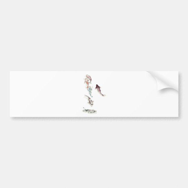 Pegatina Para Coche Watercolor Koi Fish (Frente)