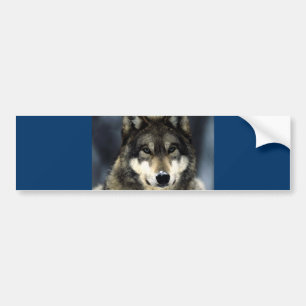 Pegatina Para Coche Wolf