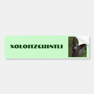Pegatina Para Coche Xoloitzcuintli