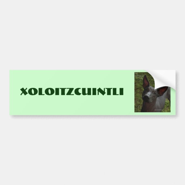 Pegatina Para Coche Xoloitzcuintli (Frente)