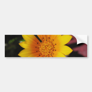 Pegatina Para Coche Yellow Daisy
