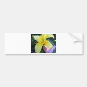Pegatina Para Coche Yellow Lily