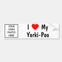 Yorki-Poo