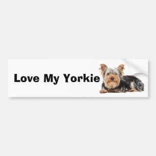 Pegatina Para Coche Yorkshire Terrier