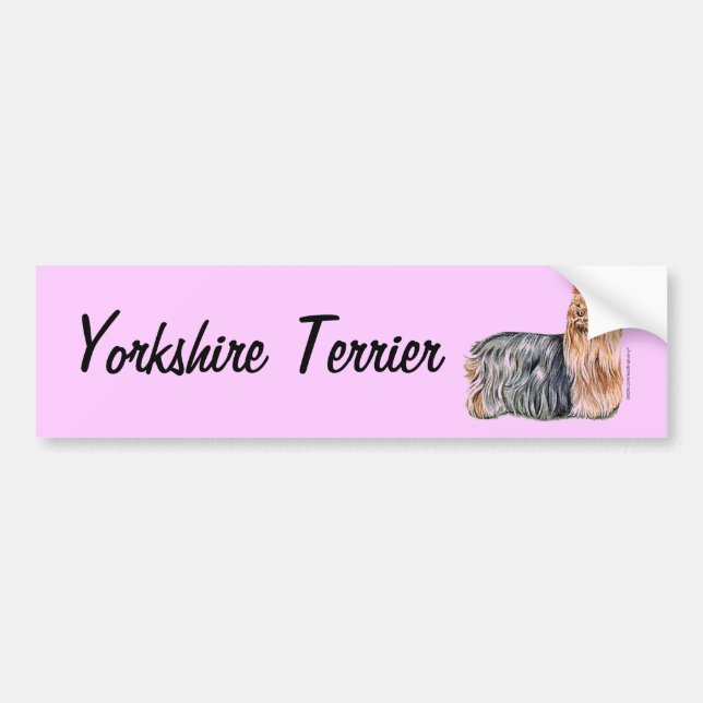 Pegatina Para Coche Yorkshire Terrier (Frente)