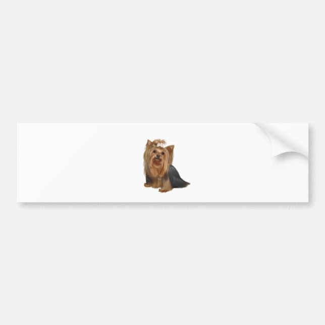 Pegatina Para Coche Yorkshire Terrier (7) (Frente)
