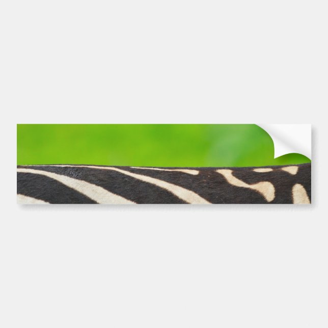 Pegatina Para Coche Zebra (Frente)