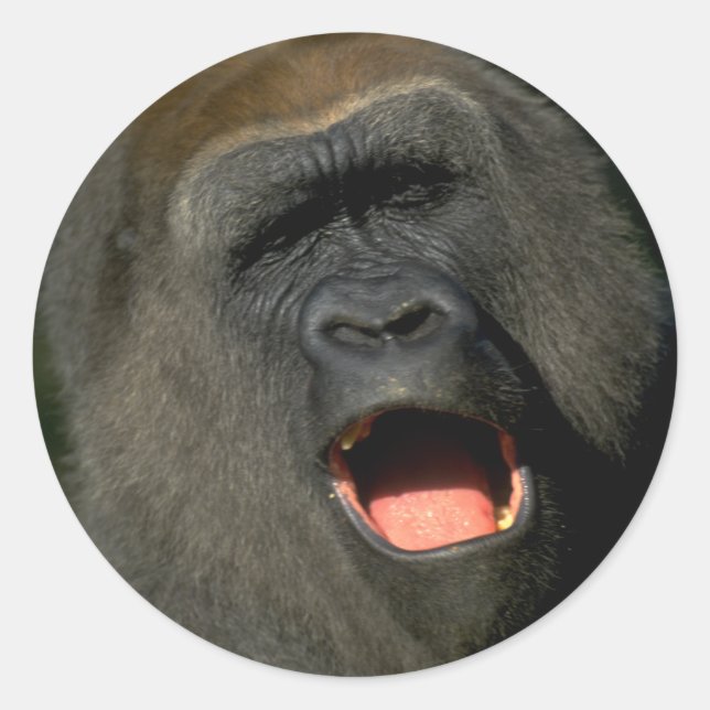 Pegatina para crear su propio pegatina personaliza (Anverso)