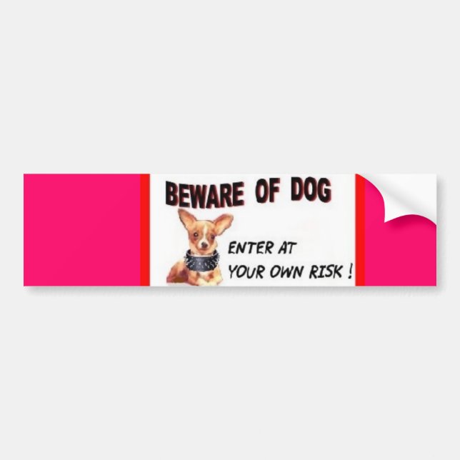 PEGATINA PARA EL PARACHOQUES (Frente)