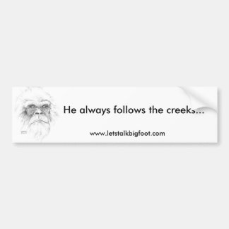 Pegatina para el parachoques