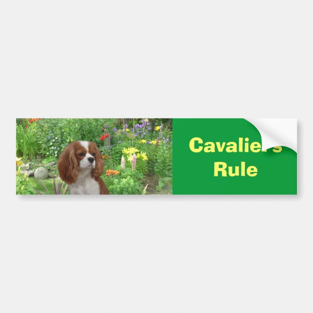 Pegatina para el parachoques arrogante del perro (Frente)