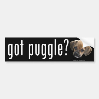 Pegatina para el parachoques conseguida de Puggle