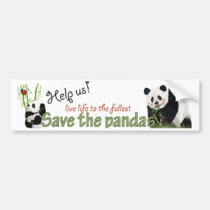 pegatina para el parachoques de las pandas