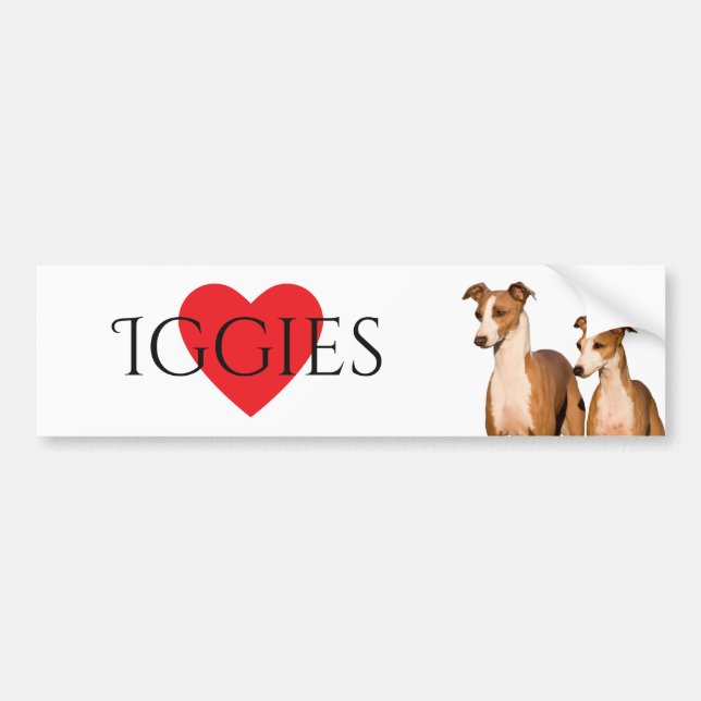 Pegatina para el parachoques de los galgos (Frente)