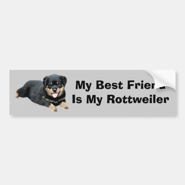 Pegatina para el parachoques de Rottweiler (Frente)