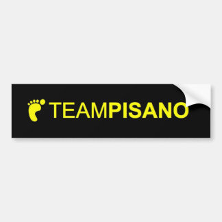 Pegatina para el parachoques de TeamPisano