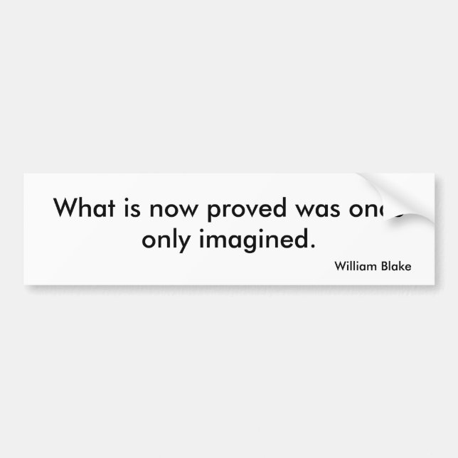 Pegatina para el parachoques de Vision (Frente)