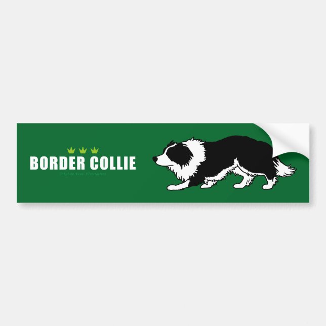 Pegatina para el parachoques del border collie (Frente)