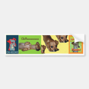 pegatina para el parachoques del Ji-weenie