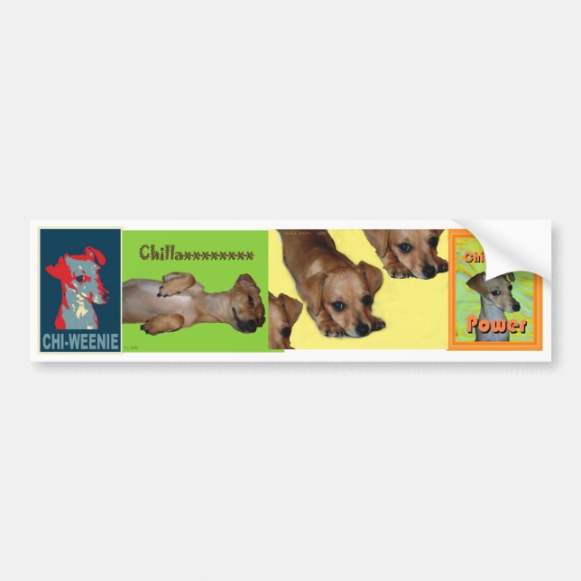 pegatina para el parachoques del Ji-weenie (Frente)