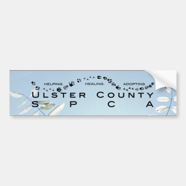 Pegatina para el parachoques del LOGOTIPO (Frente)