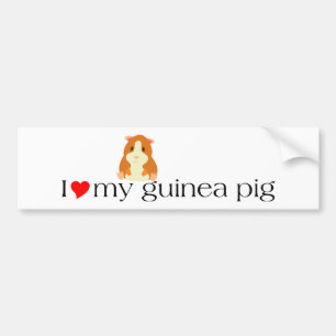 Pegatina para el parachoques del mollete del